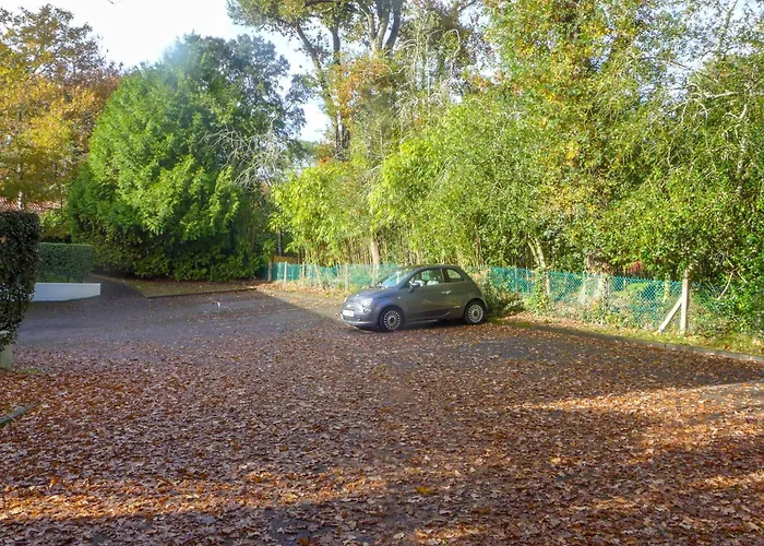 Les Ecureuils By Interhome Capbreton